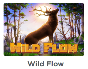 Play Wild Flow Slots: Have Fun Making Money with the Wild